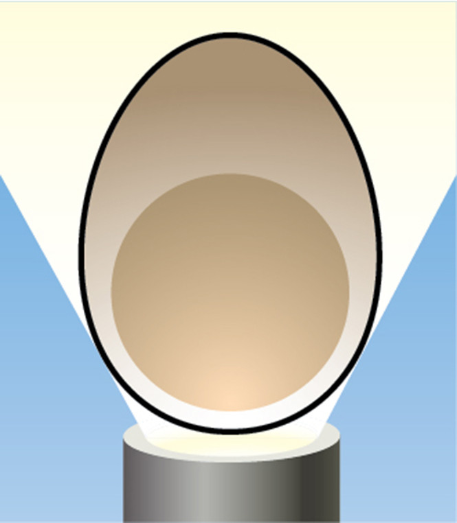 Как сварить яйцо белком вниз?