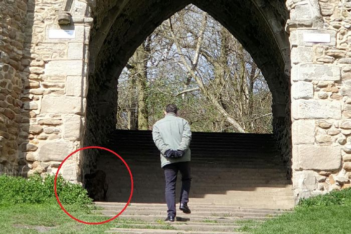 В парке Англии засняли странное существо: фото