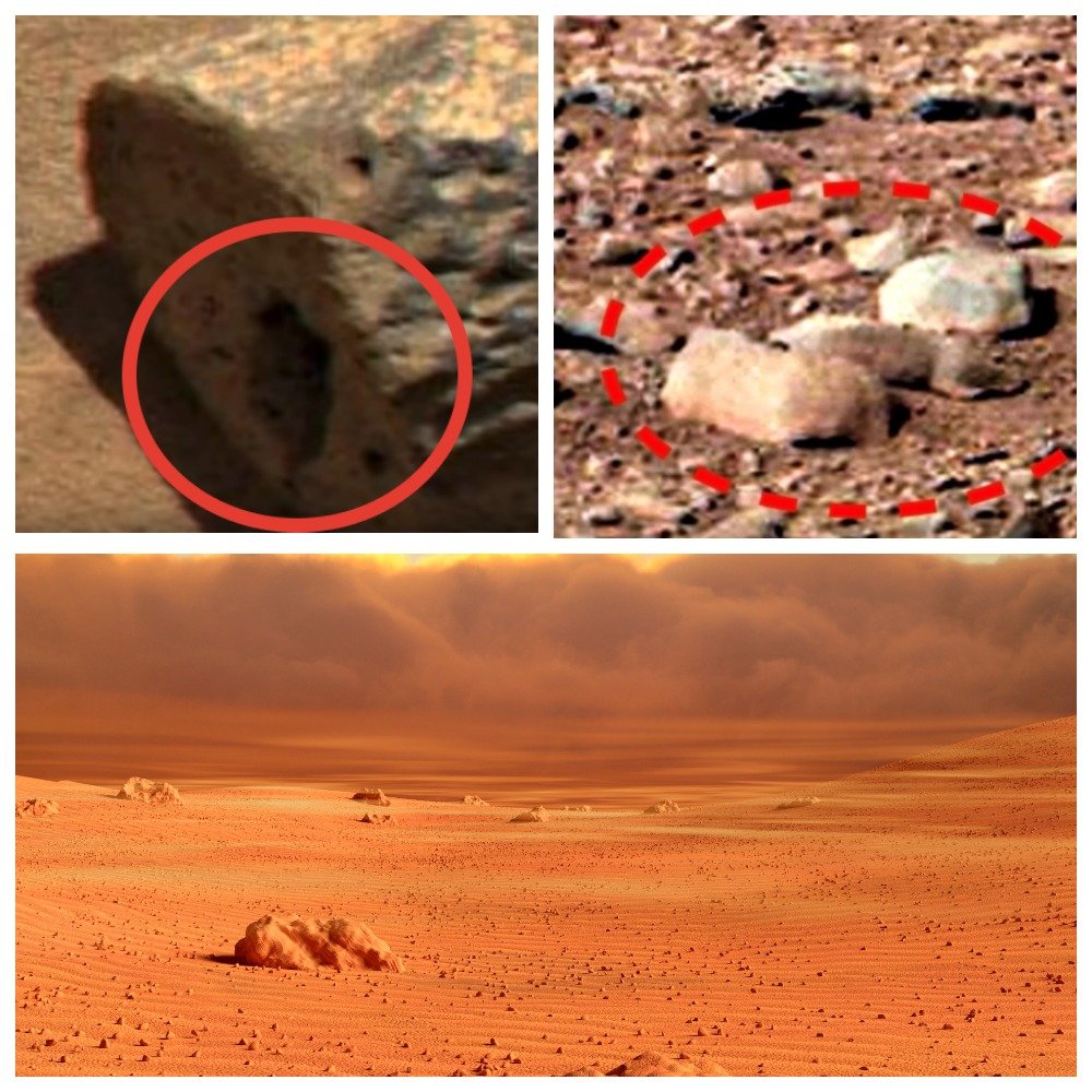 На Марсе найдено дупло белки