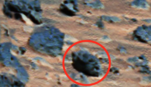 На новых фотографиях NASA среди камней нашли 2 черепа