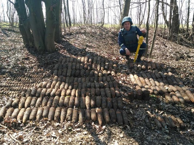 В лесу Полтавской области обнаружено 66 миноментых мин времен Второй Мировой войны