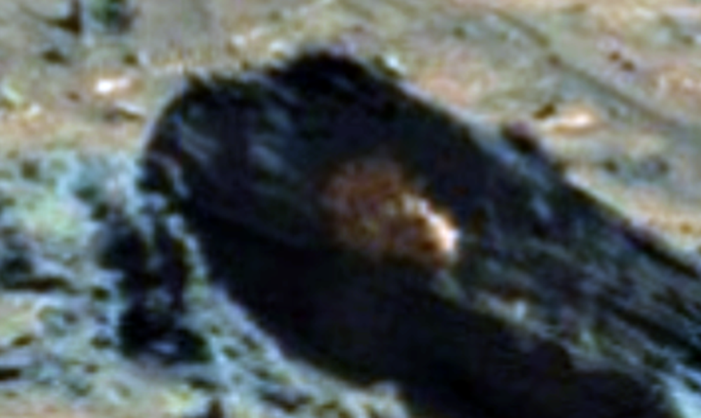 На Марсе обнаружен дикобраз: видео