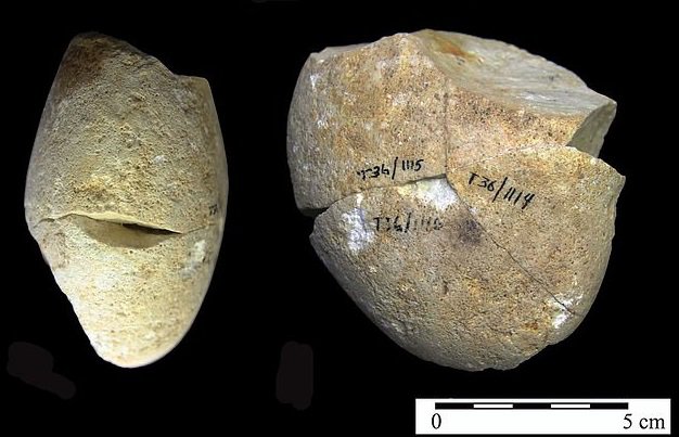 В Израиле обнаружен самый древний инструмент для обработки шкур животных возрастом 350 000 лет
