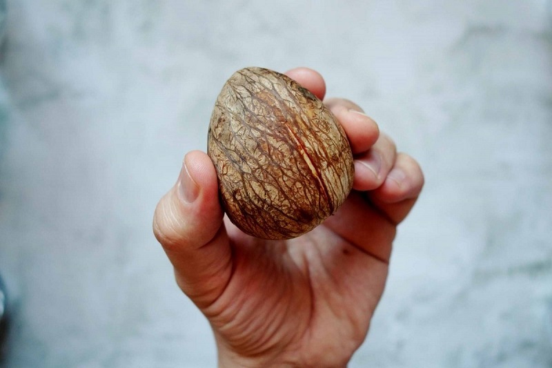 Почему никогда не стоит выбрасывать косточки от авокадо: 98% людей даже не догадываются