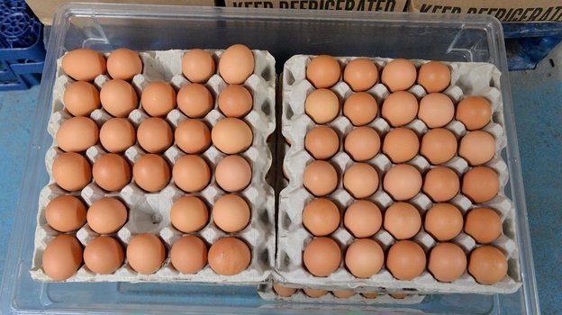 Что произойдет с вами, если вы полностью перестанете есть яйца?