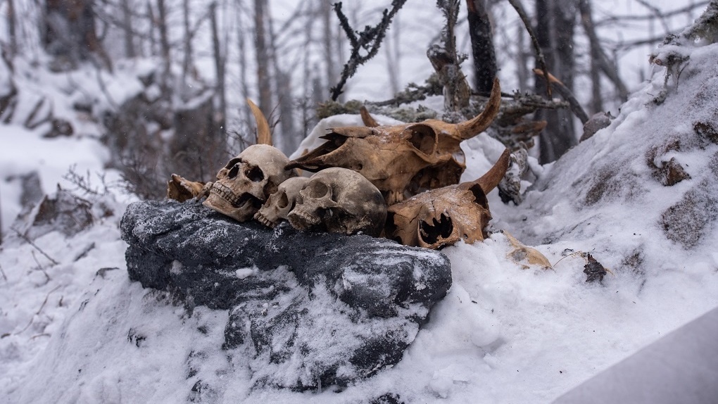 Какие страшные вещи происходили на горе, где погибла группа Дятлова?